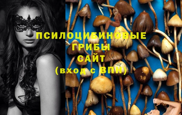 винт Баксан