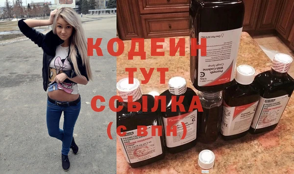 прущие грибы Аркадак
