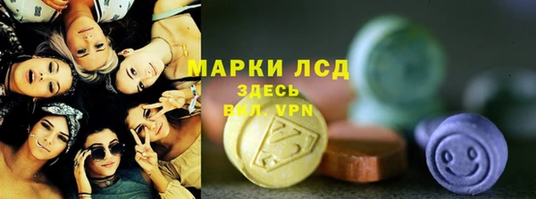 прущие грибы Аркадак