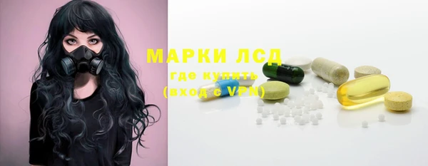 прущие грибы Аркадак