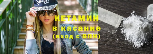 прущие грибы Аркадак