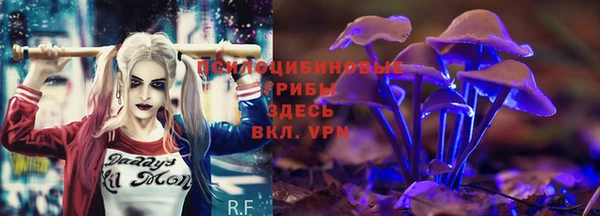 тгк Арсеньев