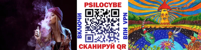 Галлюциногенные грибы Psilocybe  наркошоп  Улан-Удэ 
