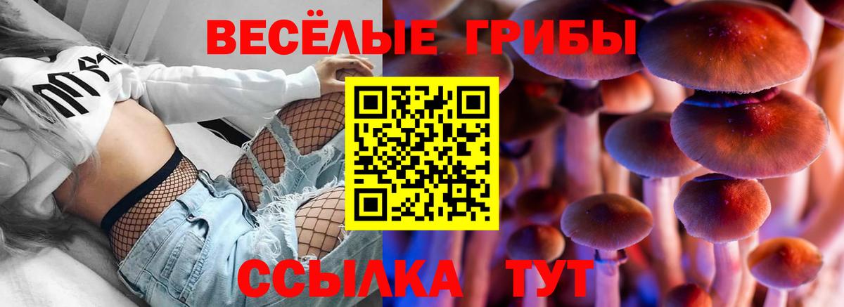 Галлюциногенные грибы Psilocybine cubensis  Вход с VPN  Улан-Удэ 