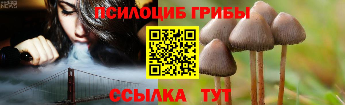 Псилоцибиновые грибы GOLDEN TEACHER Улан-Удэ